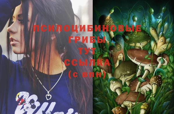 PSILOCYBIN Алексеевка