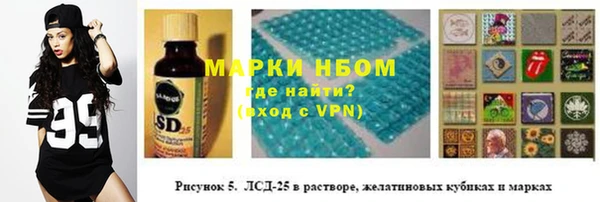 ПСИЛОЦИБИНОВЫЕ ГРИБЫ Алзамай